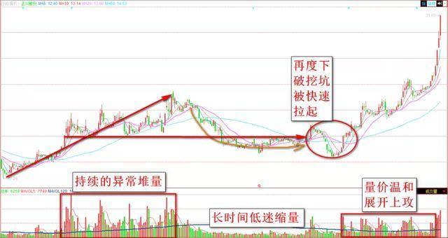 202管家婆一肖一码,正式解答解释落实_精巧版49.60.51