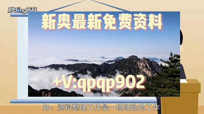 2024年新奥正版资料免费大全,揭秘2024年新奥正版资料,质性解答解释落实_纪念版8.66.9