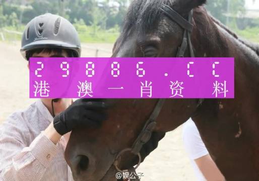 澳门一肖一码必中一肖一码,未来解答解释落实_自行版67.22.29